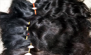 Human Hair Exporter in Kolkata